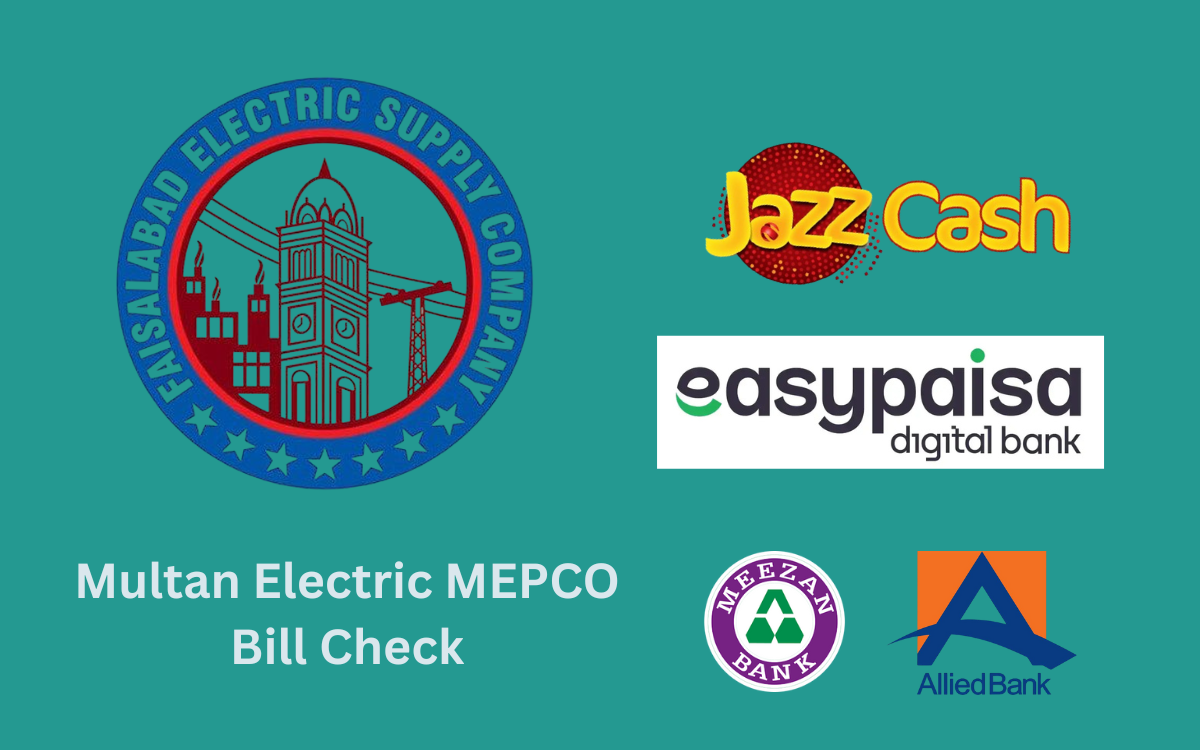 fesco online bill check​
