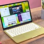 Punjab Government’s Rs 10 Billion Jet: VIP Luxury or ‘Air Punjab’ Asset?