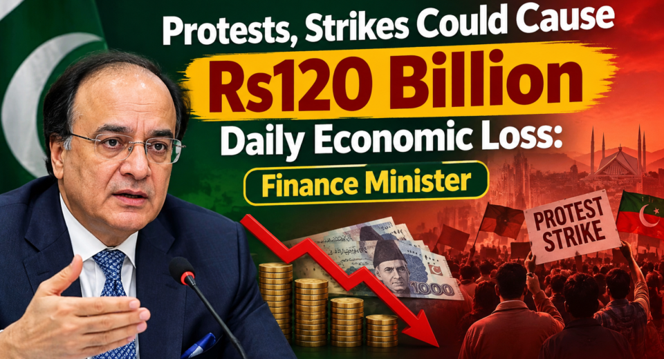 Pakistan's Finance Minister